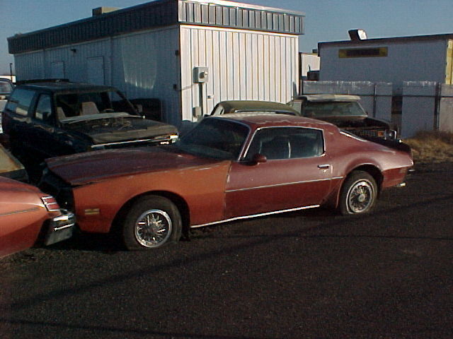 1974 Firebird Olds V8, runs, rough all over.  $650 n-129